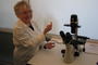Profesor Elżbieta Wałajtys-Rode prezentuje mikroskop, doktótrego można podłączyć kamerę, fot. Adam Cyło