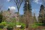Arboretum w Bolestraszycach przebuduje alejki i zainstaluje monitoring