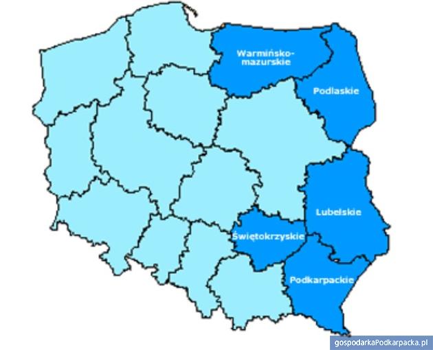 Dotacje na stworzenie produktów sieciowych w Polsce Wschodniej