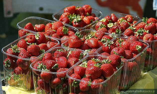 Zbiór owoców - jedna z najpopularniejszych prac sezonowych. Fot. Pixabay/CC0