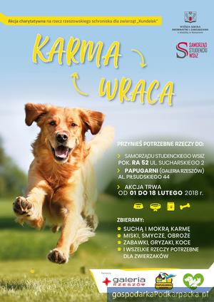 Karma wraca – akcja na rzecz zwierząt w Rzeszowie