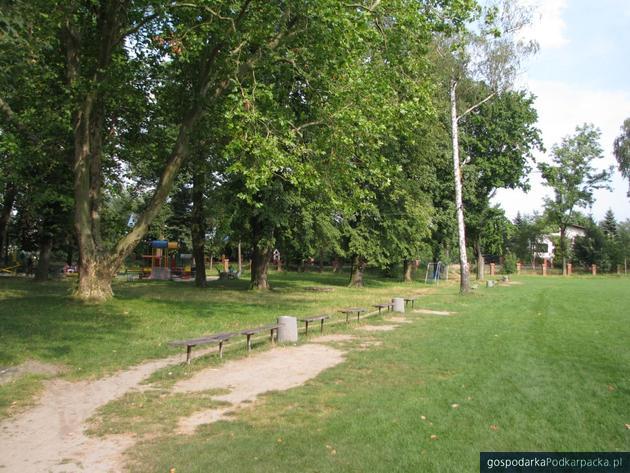 Będzie rewitalizacja parku przy ul Wieniawskiego w Rzeszowie