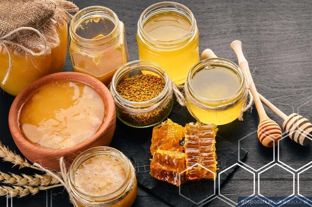 Sekrety produktów pszczelich i apiterapii – informacje oraz bezpłatny wykład
