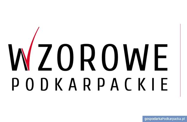 X edycja konkursu Wzorowe Podkarpackie