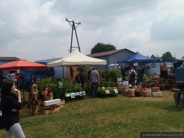 Trwają „Dni Pola” - impreza rolnicza w Boguchwale
