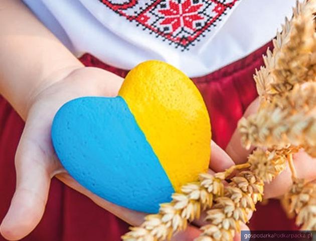 Wielkie pożegnanie wakacji w Parku Papieskim – impreza polsko-ukraińska