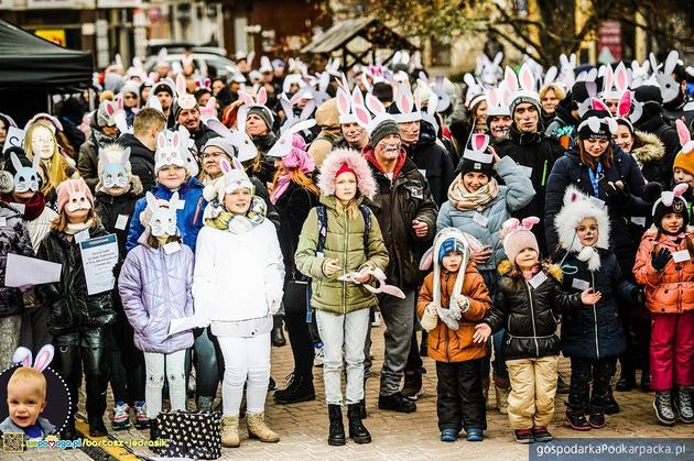 Rekord Polski - najwięcej osób przebranych za króliki w Tarnobrzegu. Akcja charytatywna