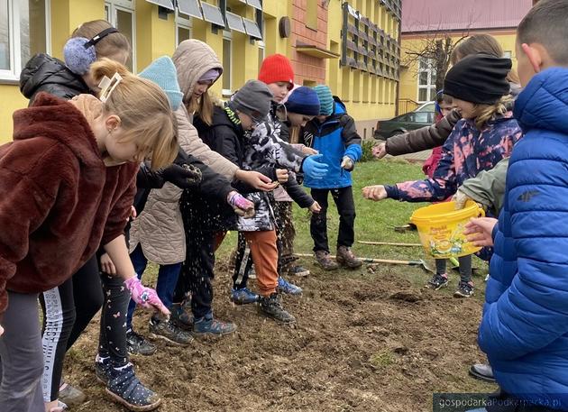 Econnected - firmy Doliny Lotniczej sponsorują szkoły w działaniach na rzecz ochrony klimatu