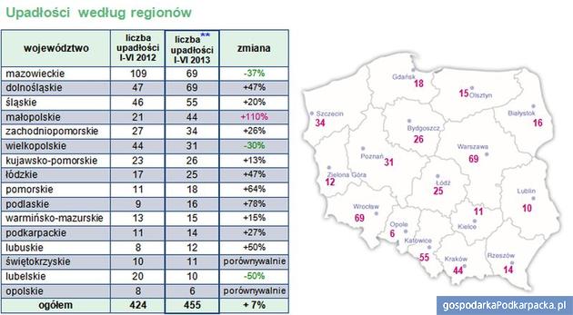 Upadłości wg regionów w I połowie 2013 roku - źródło Coface